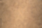 AdobeStock_168382591_Preview.jpeg