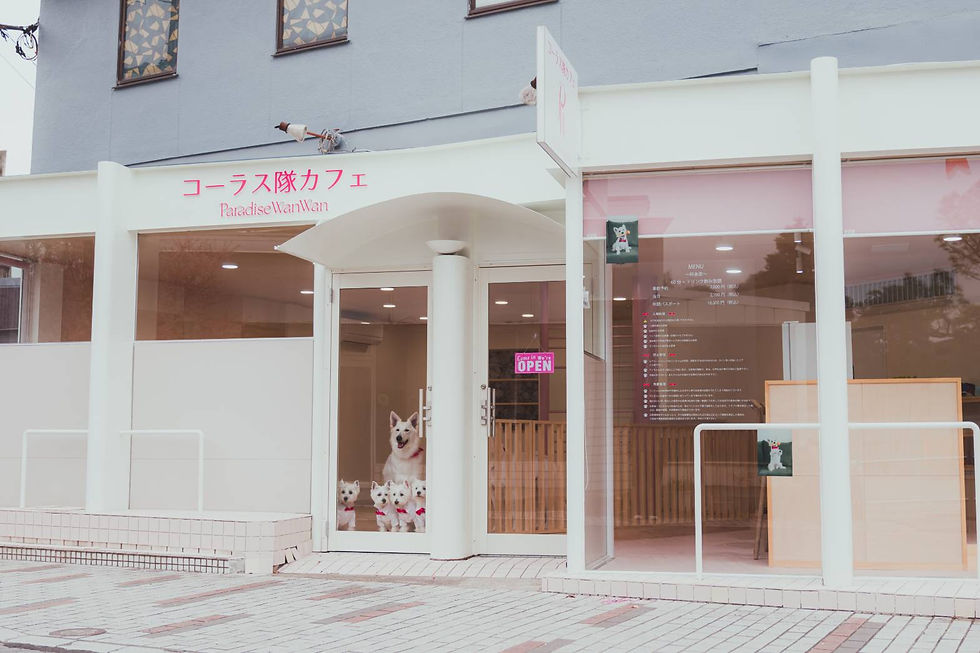 line_oa_chat_260512_202034_group_1.jpg