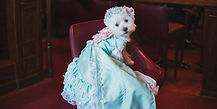 line_oa_chat_260512_202557_group_6_edited.jpg