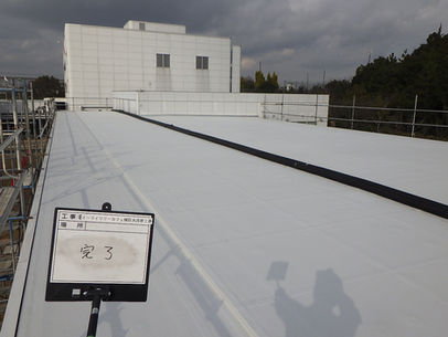 イーライリリー屋上防水.JPG