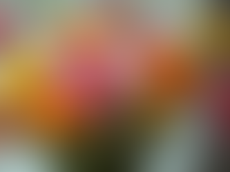 Unique Gifts: Custom Handmade Pipecleaner Flower Bouquets