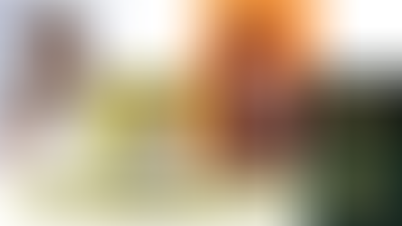 The Cast of Verity By Collen Hoover