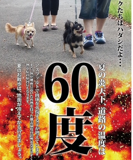 image2.jpeg