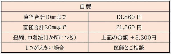 ほくろ新料金.jpeg