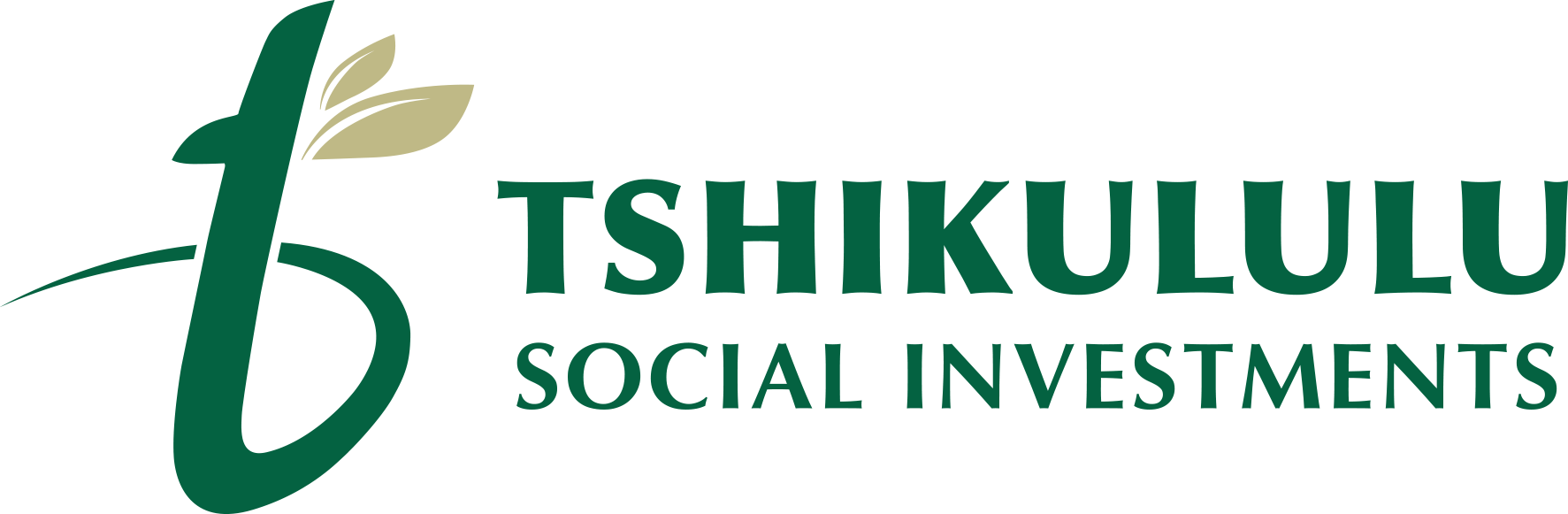 TSI Logo MAIN.png