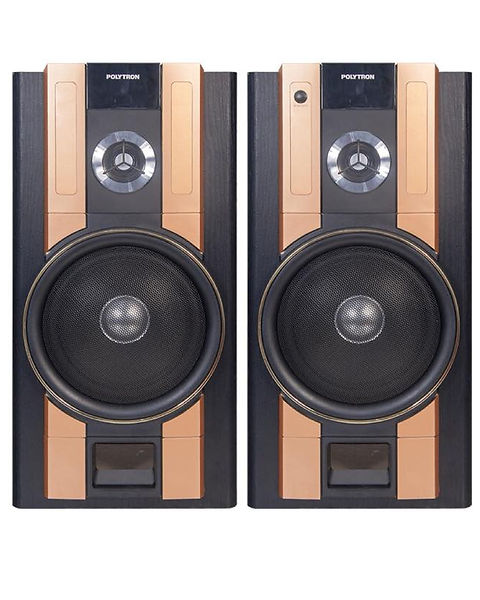 Polytron_PAS_62_speaker_nico_elektronik_active_aktif_salon_speker.jpg