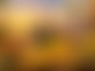Padmini Ekadashi 2026 Paran