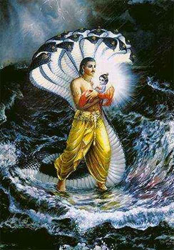 Why Lord Krishna Took Birth on Earth?
