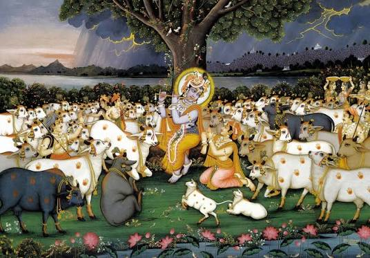 Gau Seva