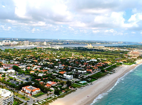 PALM_BEACH_FL IGUANA REMOVAL SERVICES 