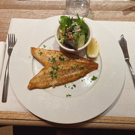 Botanique: Knokke-Heist 