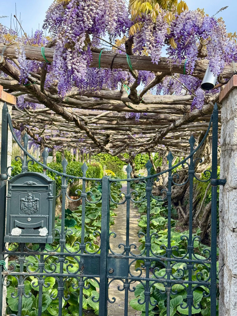 7ED64C77-0ABF-4E34-8472-19F1F209DC5F_1_105_c