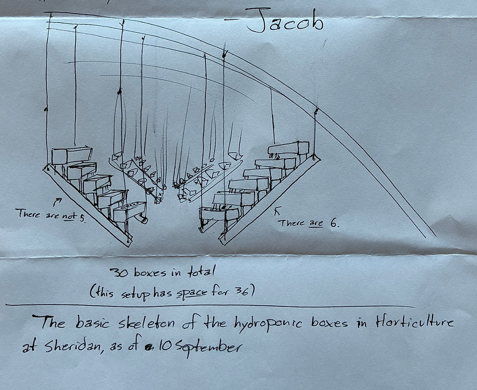 September 19 Update