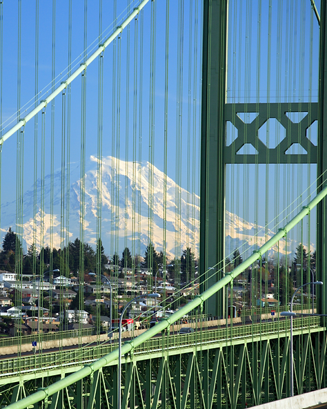 Vector Insurance Group - Auto Insurance (Tacoma WA).png