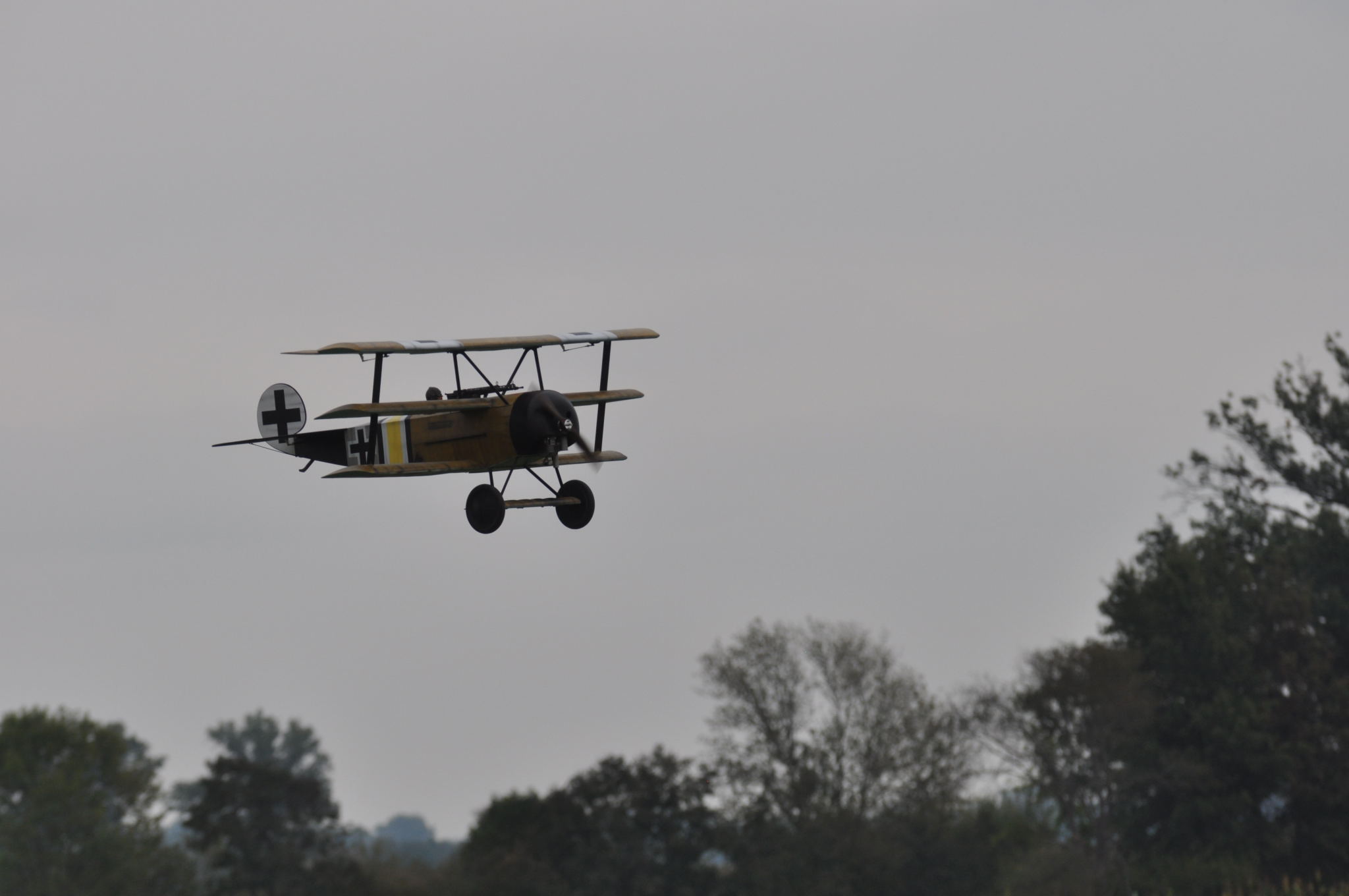 DSC_9527.JPG