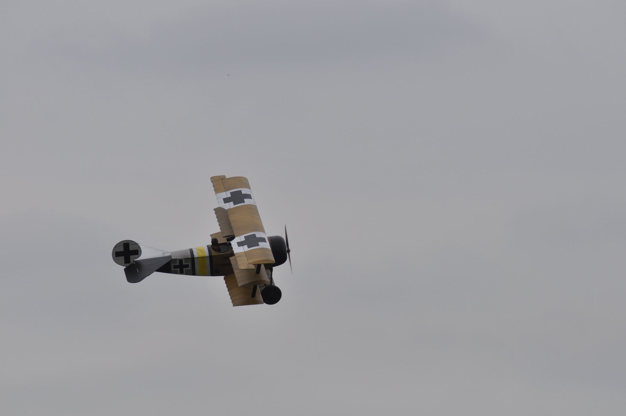 DSC_9513.JPG