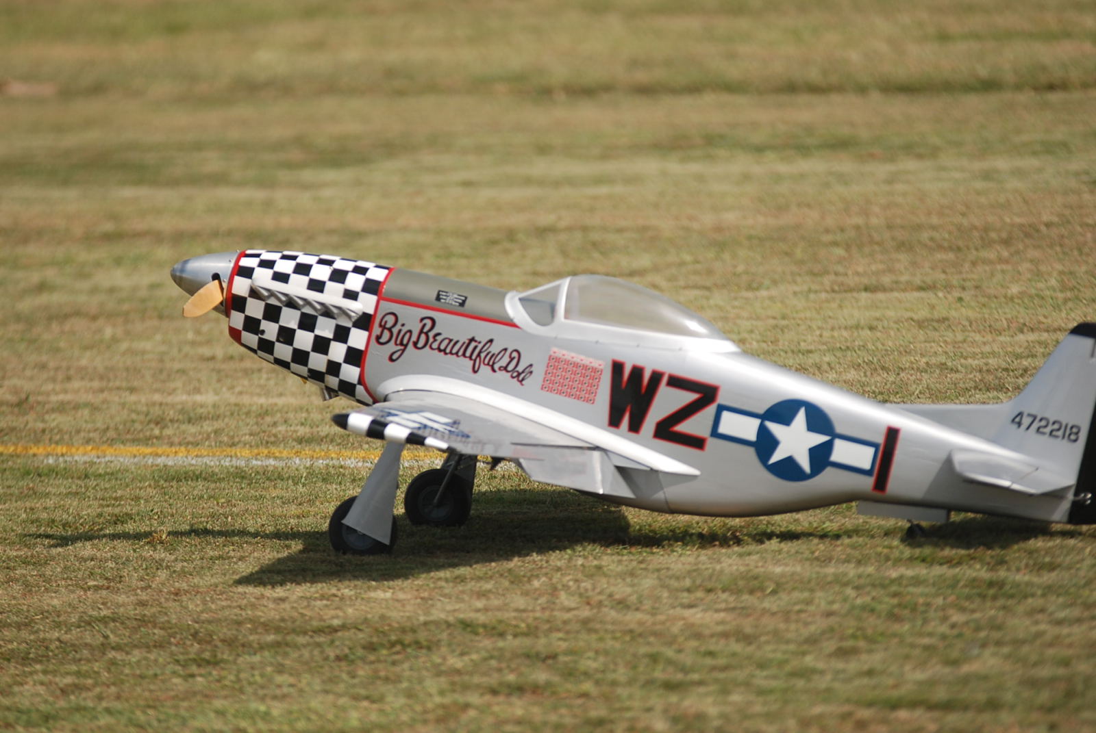 DSC_9502.JPG