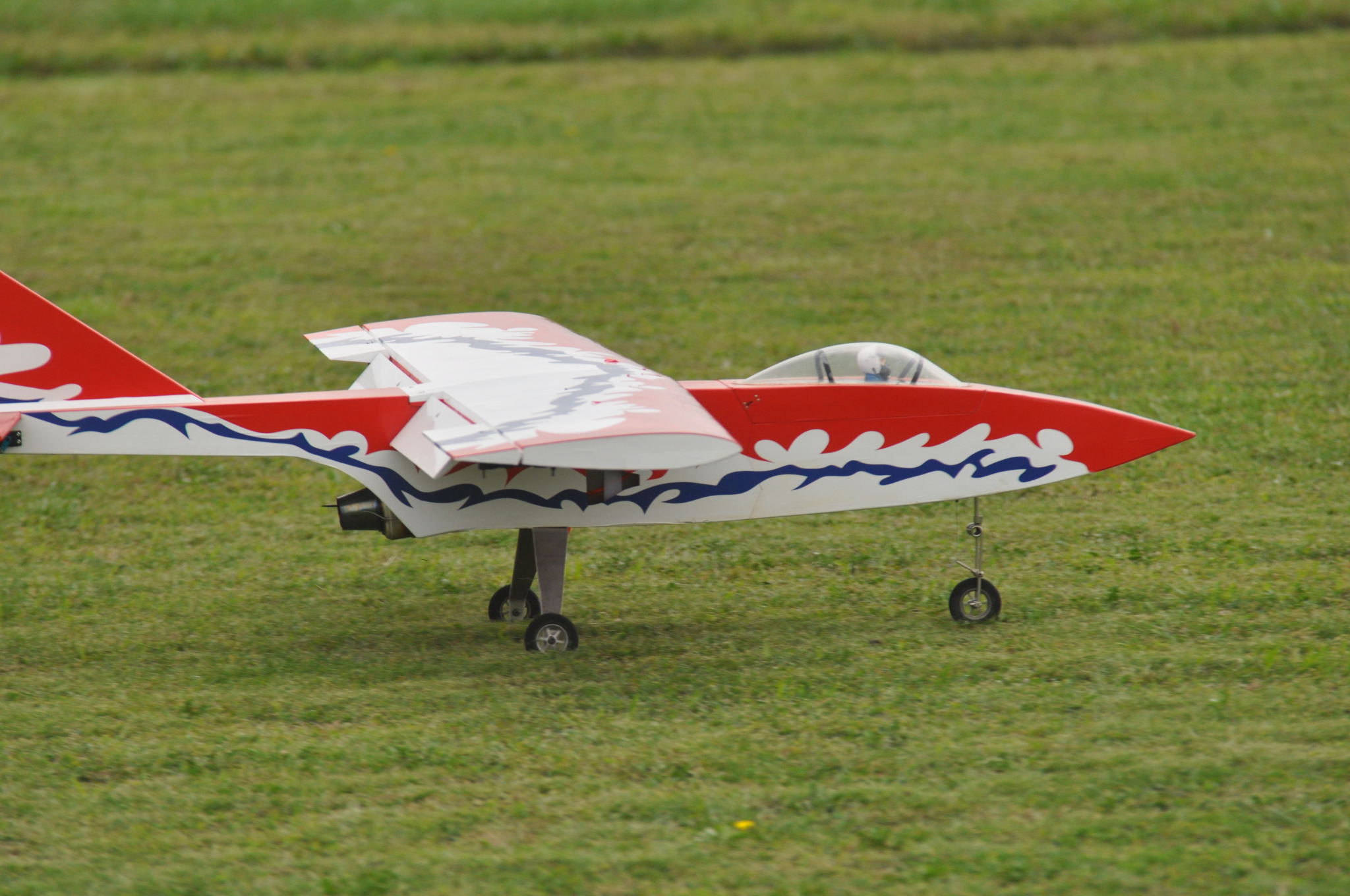 DSC_8934.JPG