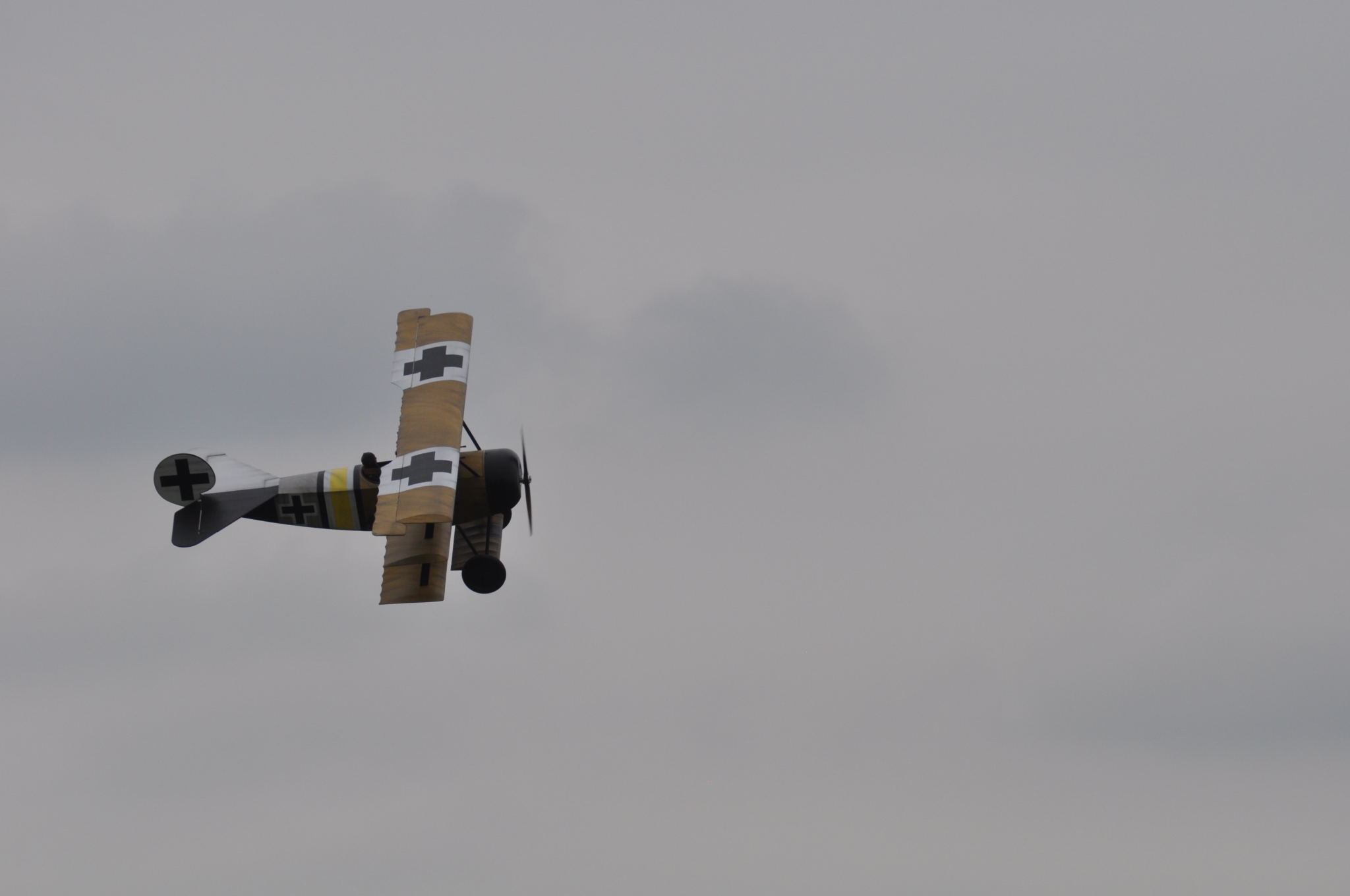 DSC_9511.JPG