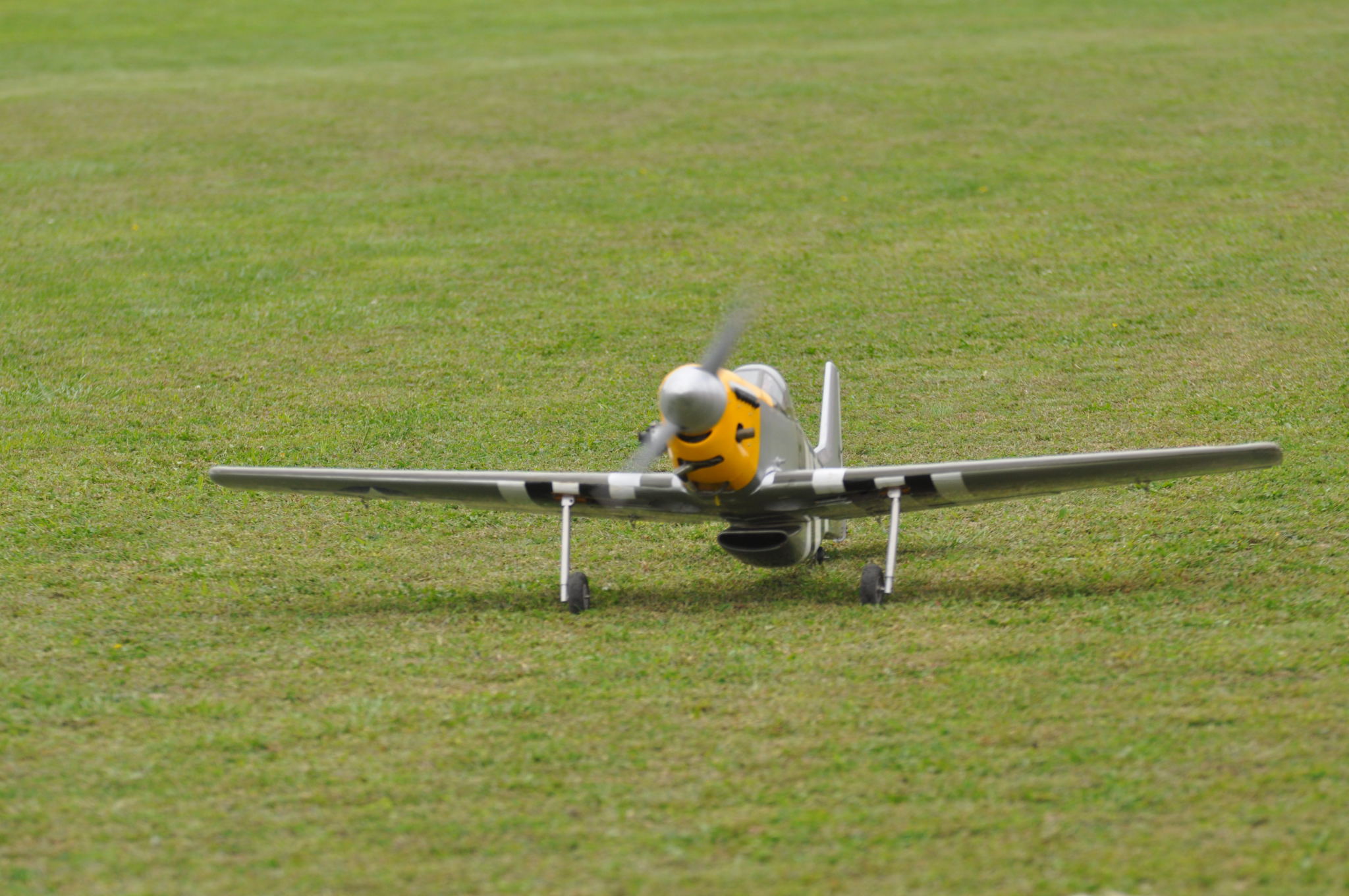 DSC_9075.JPG