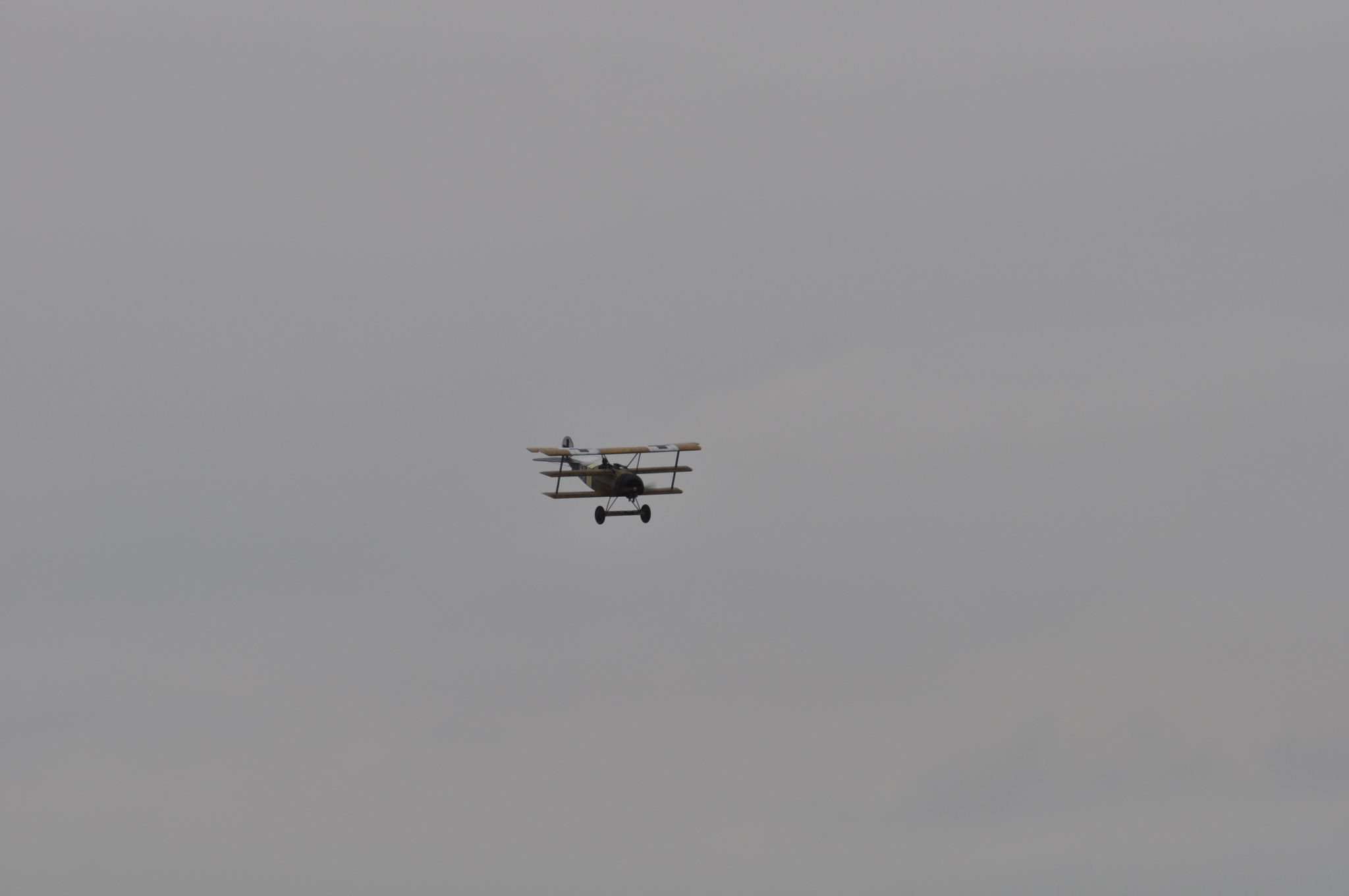 DSC_9419.JPG