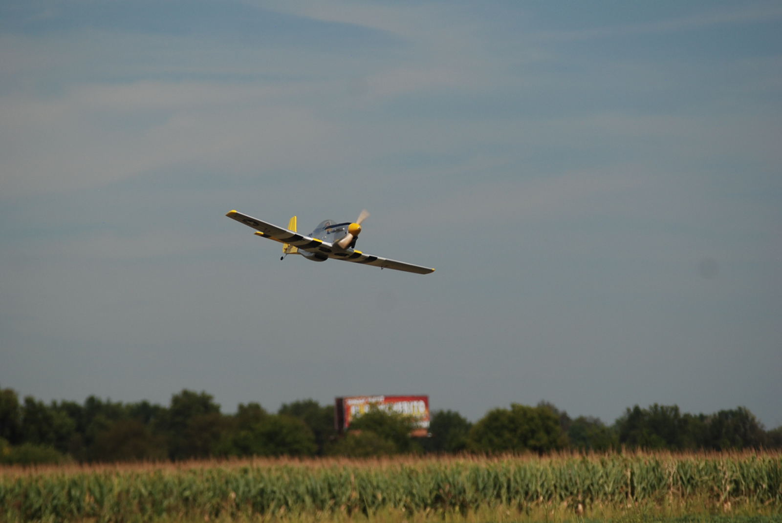 DSC_9601.JPG