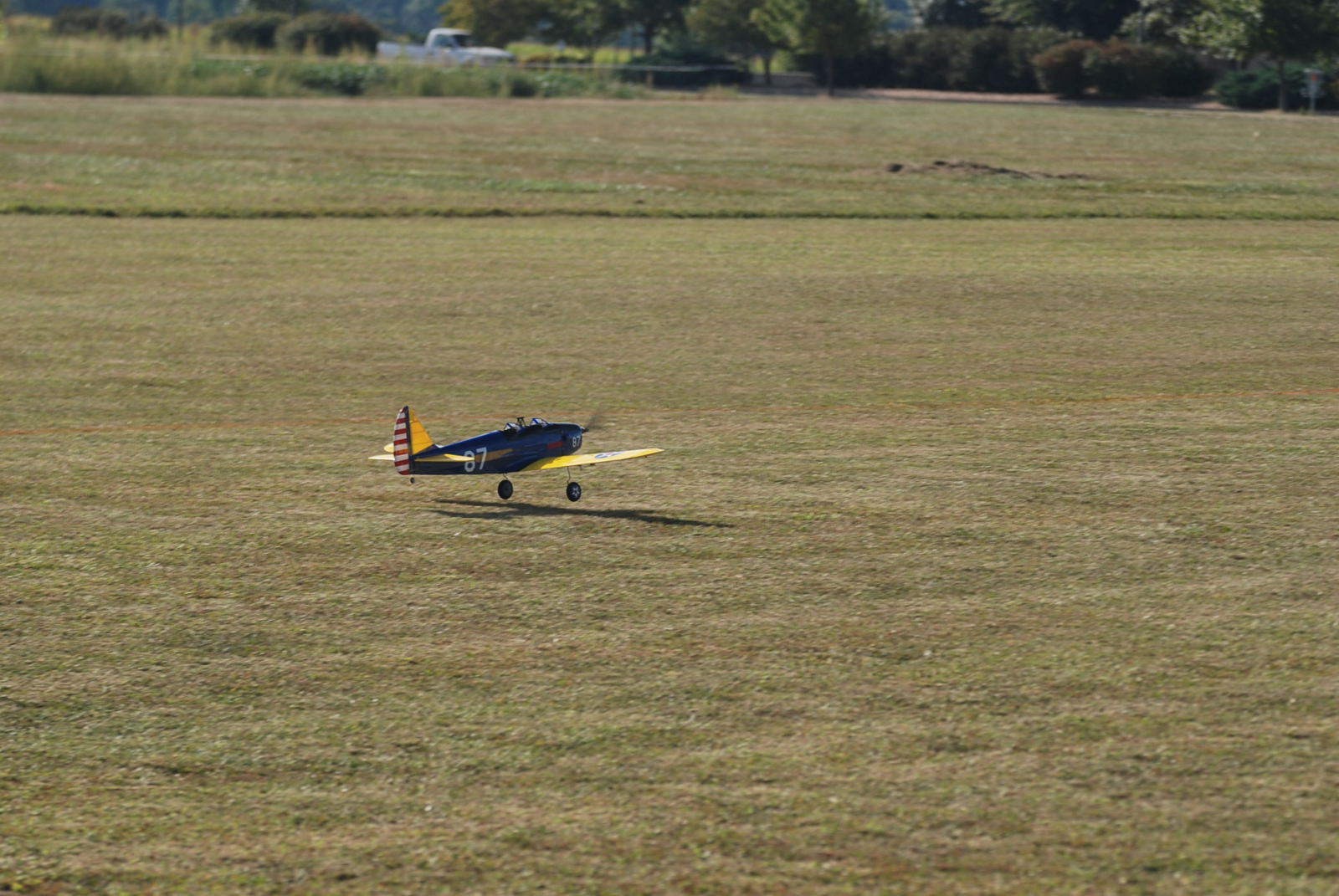 DSC_8876.JPG