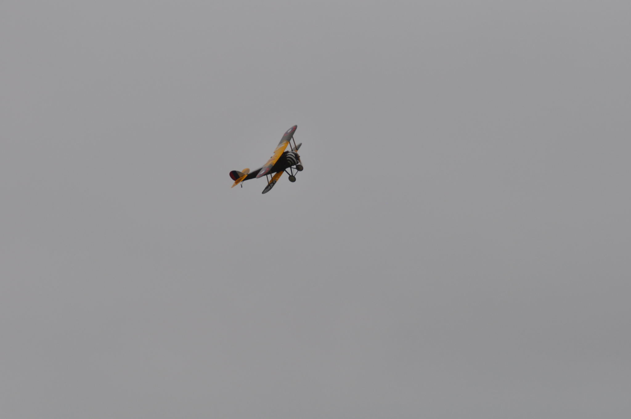 DSC_9486.JPG