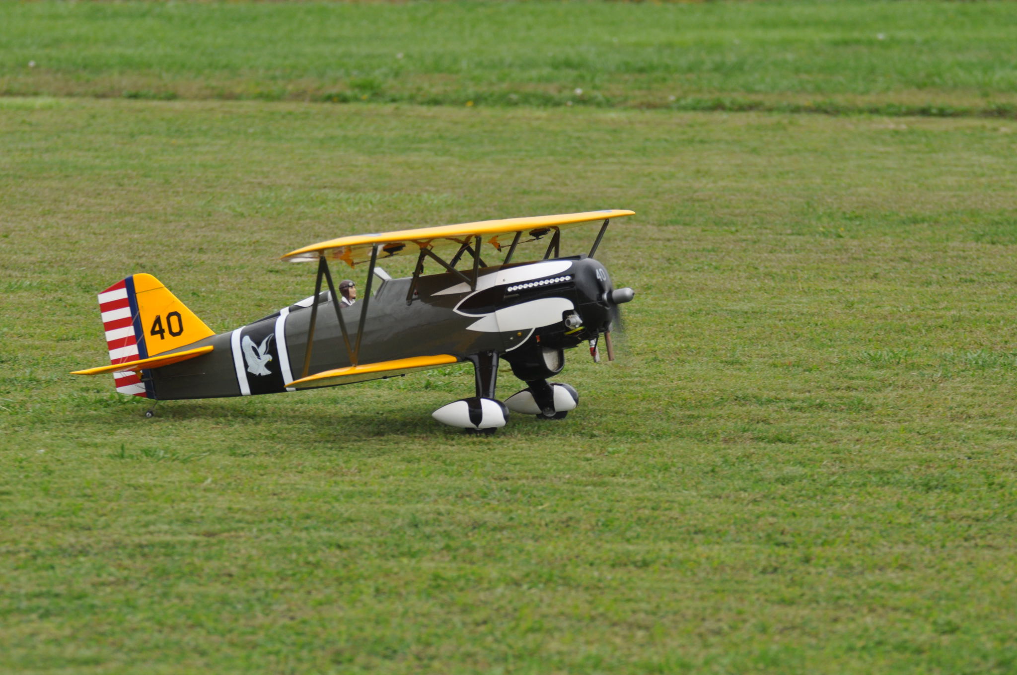 DSC_9613.JPG