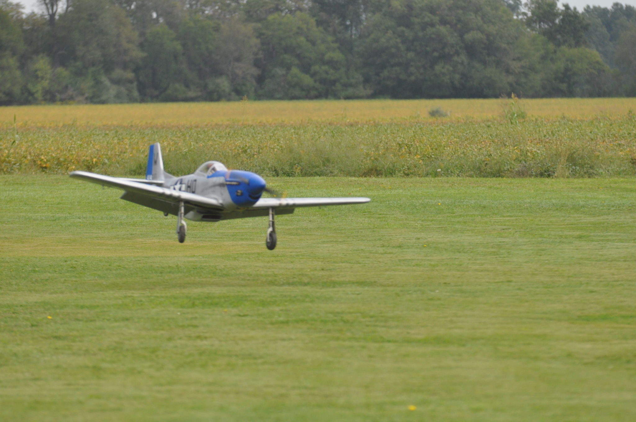 DSC_8851.JPG