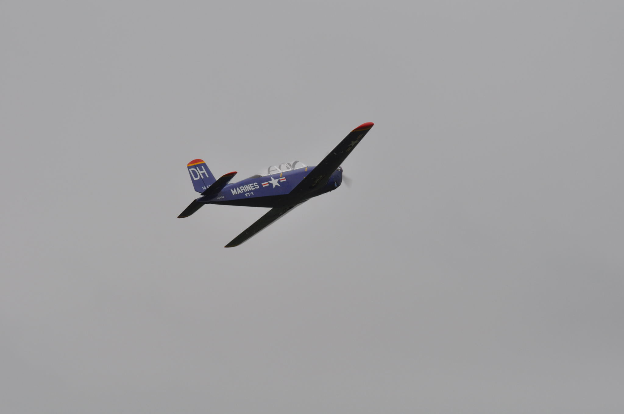 DSC_9299.JPG
