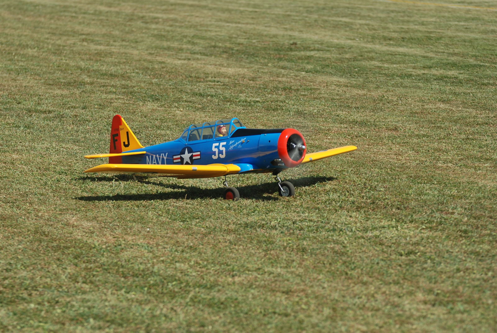 DSC_9112.JPG