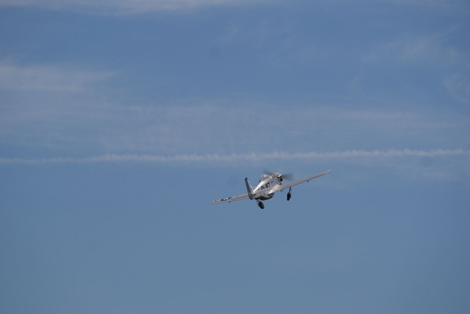 DSC_9419.JPG
