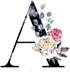 IMG_4201.PNG
