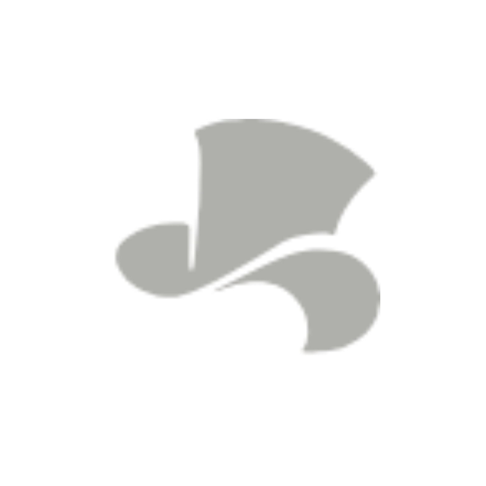 Logo Kavalierhaus Klessheim