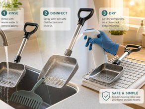 How to Sanitize Dog Waste Tools Safely
