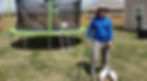 Dog Poop Scooping Professional Houston
