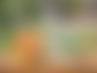 Do Natural Odor Solutions Work For Dog Poop Smell?