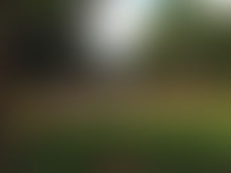 RETURN JOY TO THIS LITTLE ANGELES