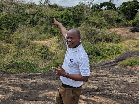 Restoring the Natural Beauty: Serewa Forest Reserve Regeneration in Handeni District, Tanzani
