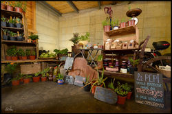 Marché En Crettaz - été 2018