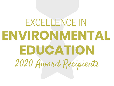 Recognizing the 2020 Excellence in EE Award Recipients