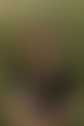 September 19 Workshop on Post-Abortion Therapy Covers Approaches That Support Both the Social Worker and Their Clients