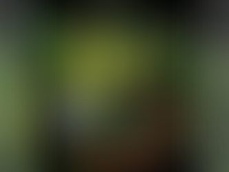 News : Hexencraft premieres new song "Nightflame Eternal" ft. guest Phil Tougas via Toiletovhell