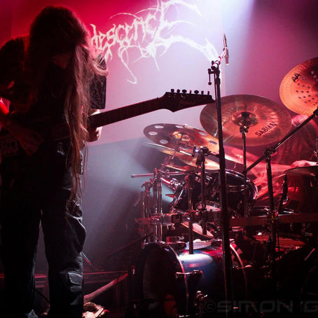 Gallerie : Messe Des Morts (2013)