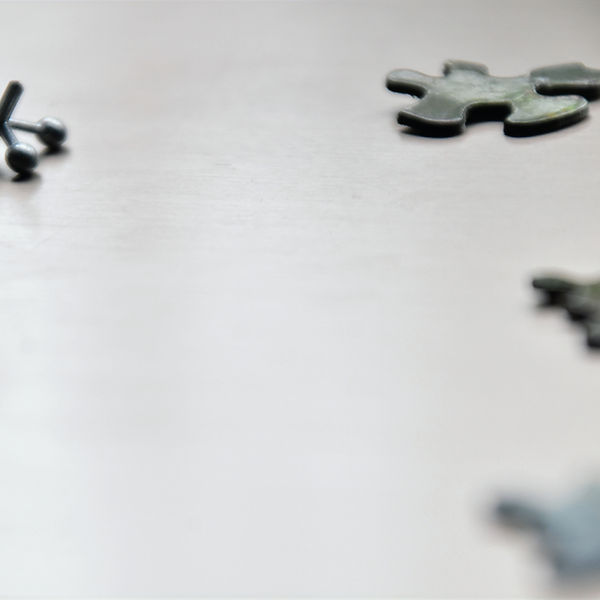 jacks and puzzle pieces_edited.jpg
