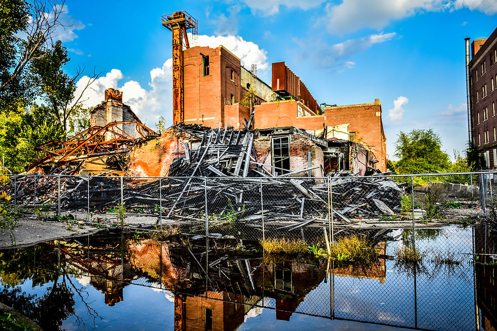 Eloise, Abandoned, Michigan, Haunted, Detroit Paranormal Expeditions, J&C Photography, Broken, Ghost, Plant