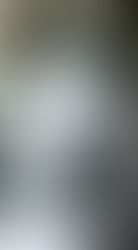 長青學苑 106年 水墨山水班成果展