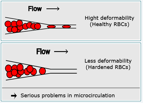 rheoDeform01.gif