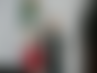 What might move Mexico to take a 'harder position' in trade talks?